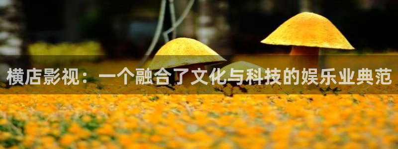 秋霞在线播放视频