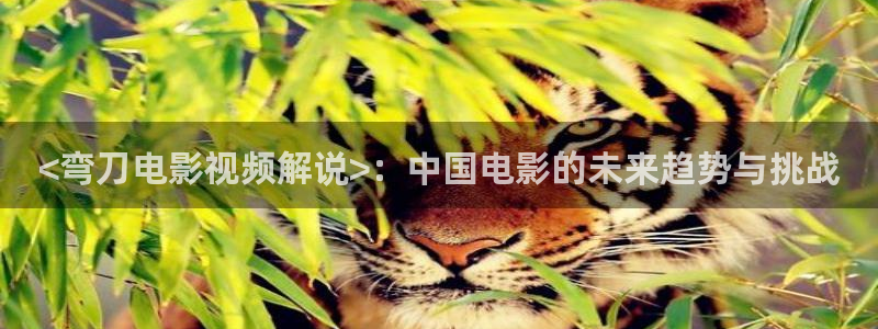 秋霞理伦网