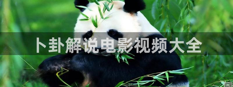 秋霞6：卜卦解说电影视频大全