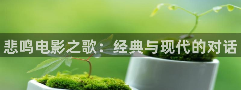 秋霞在线看高清视频：悲鸣电影之歌：经典与现代的对话