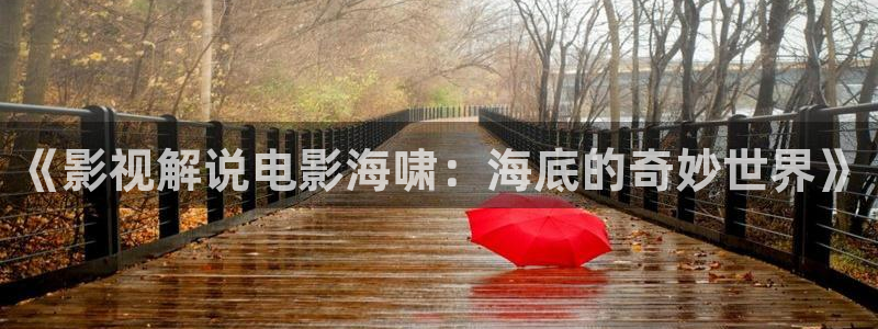 秋霞伦理网站