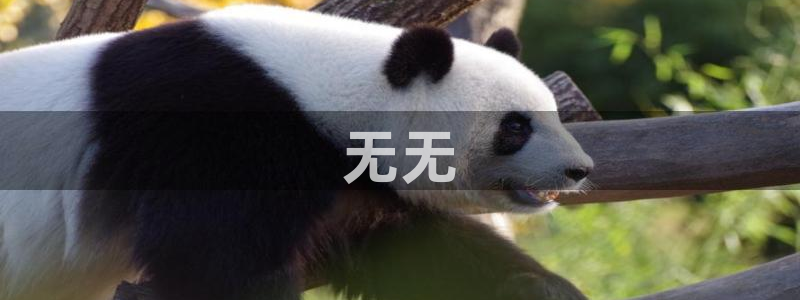 秋霞电影影视