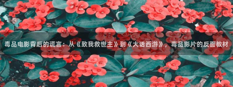 秋霞观看秋霞