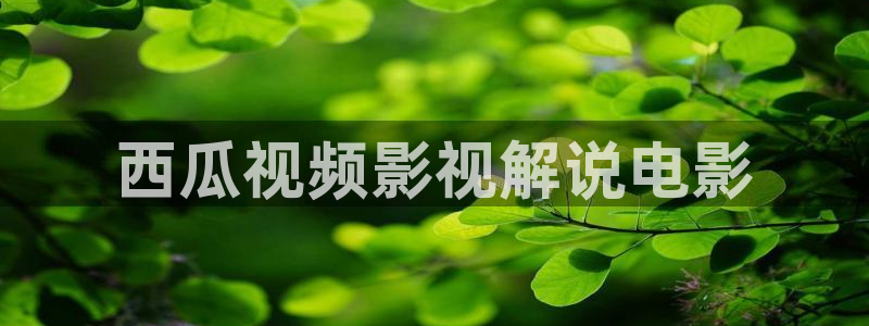 秋霞电影手机